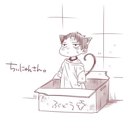 2022222🐈‍⬛
ちぃにゃんさん 