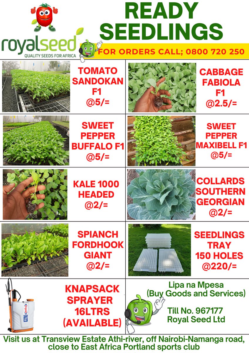 RoyalSeedKE's tweet photo. Ready for some #FRESH #SEEDLINGS this FRESH FEBRUARY? Get Quality Ready #Seedlings๐ฑat affordable prices!
Place your order now! Let us deliver๐ฏ
#Seedlings #Seedlingstray & #Knapsacksprayer
Reach us to place your Order
Toll-Free Line: 0800 720 250
WhatsApp No: 0780 884 087 https://t.co/OXnDyHIrgy