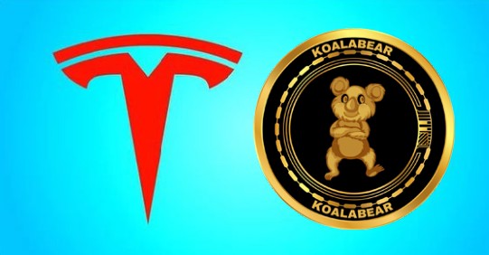 Gainbear tweet media
