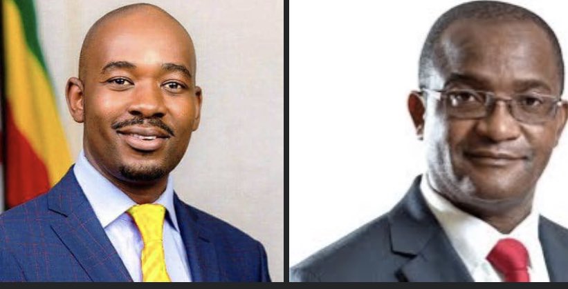 Bruce_Moyo1's tweet photo. If you believe in the leadership of @DMwonzora press like and if you believe in the leadership of @nelsonchamisa Retweet.. https://t.co/NfuGcO2eHN