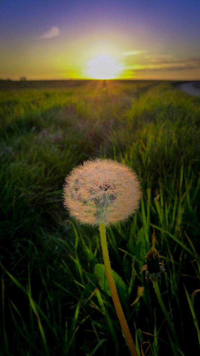 WildThanet's tweet photo. Coming soon ...

#springuk https://t.co/9KDRx5BO6M