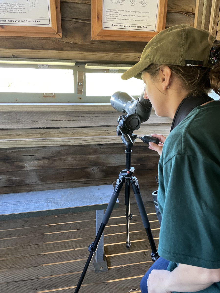 roamingmoth's tweet photo. @CavalloDelMare @RTW_Aus @BirdlifeOz Of course, we definitely found the time to twitch the Hudsonian #Whimbrel while we were in Victoria. What? Haven't you ever heard of taking your dog on a twitch? #RoamingMothUpdate https://t.co/oRd5nMmxY0