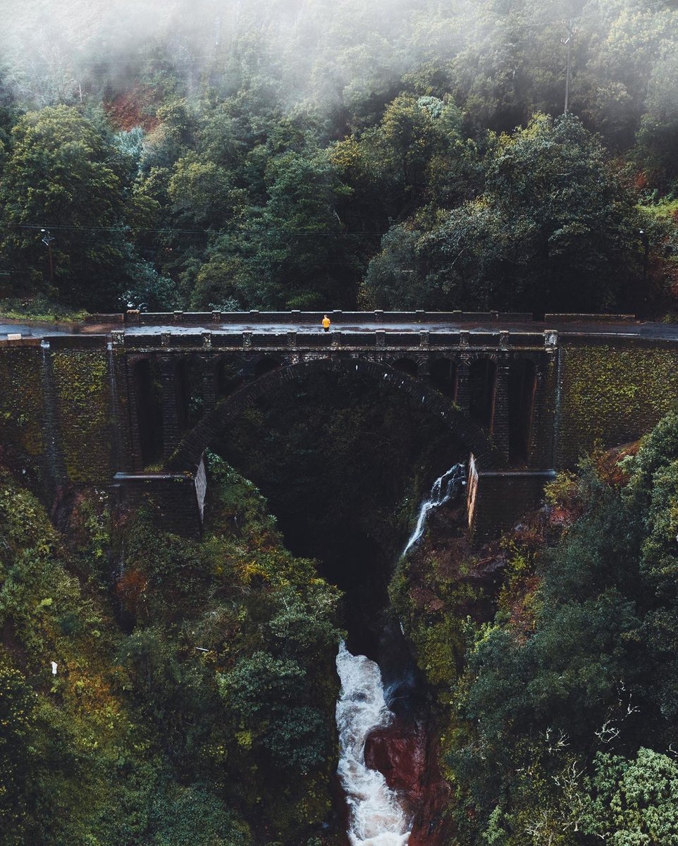 Gm! Had to stop at this bridge here as well! Sometimes I do get excited when rain appears. At least for my photos tho!
