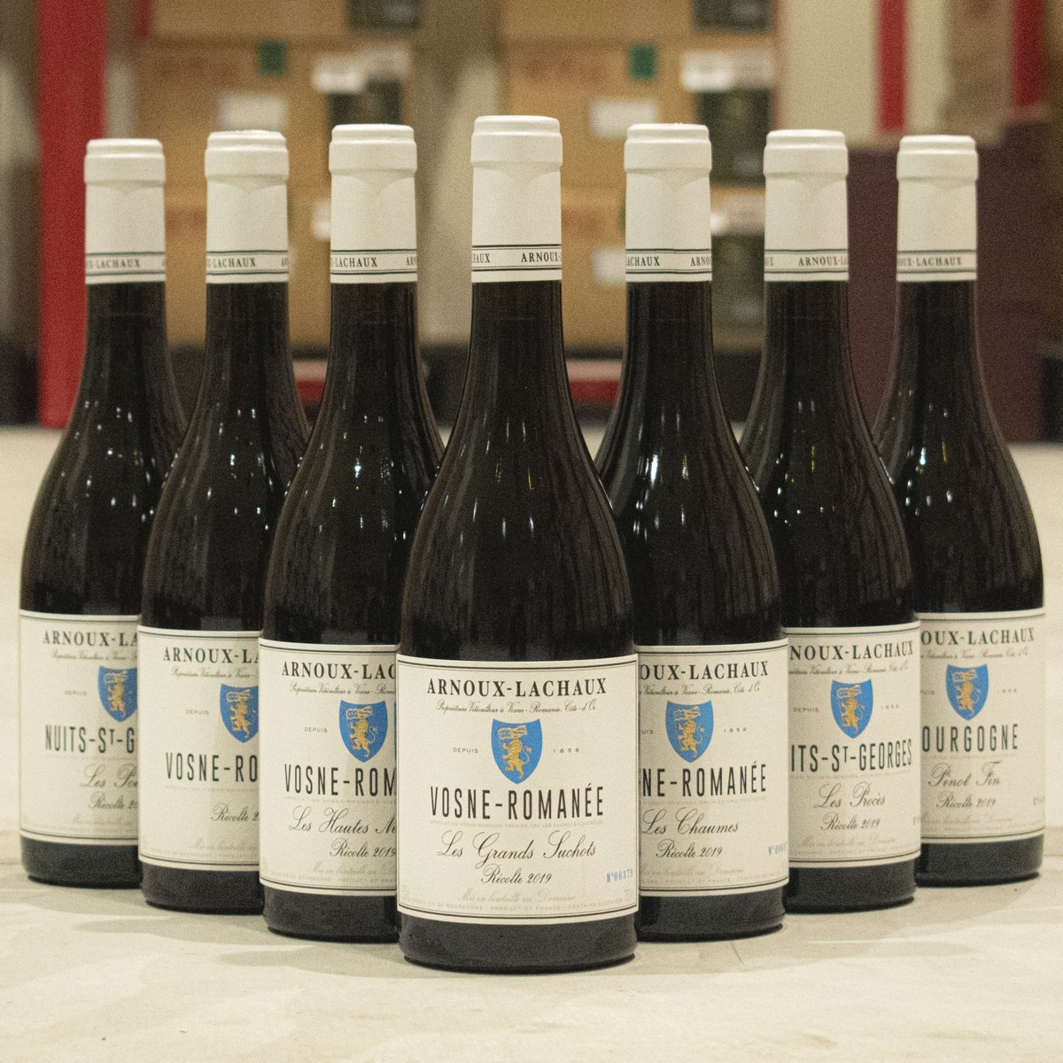katsuda_wine's tweet photo. 超稀少アルヌー・ラショー🍷
僅かですが入荷しています。
#アルヌーラショー #ワイン好き https://t.co/KUO2xZcL6X