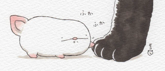 オオサンショウウオ、猫の日まとめ。 #猫の日 