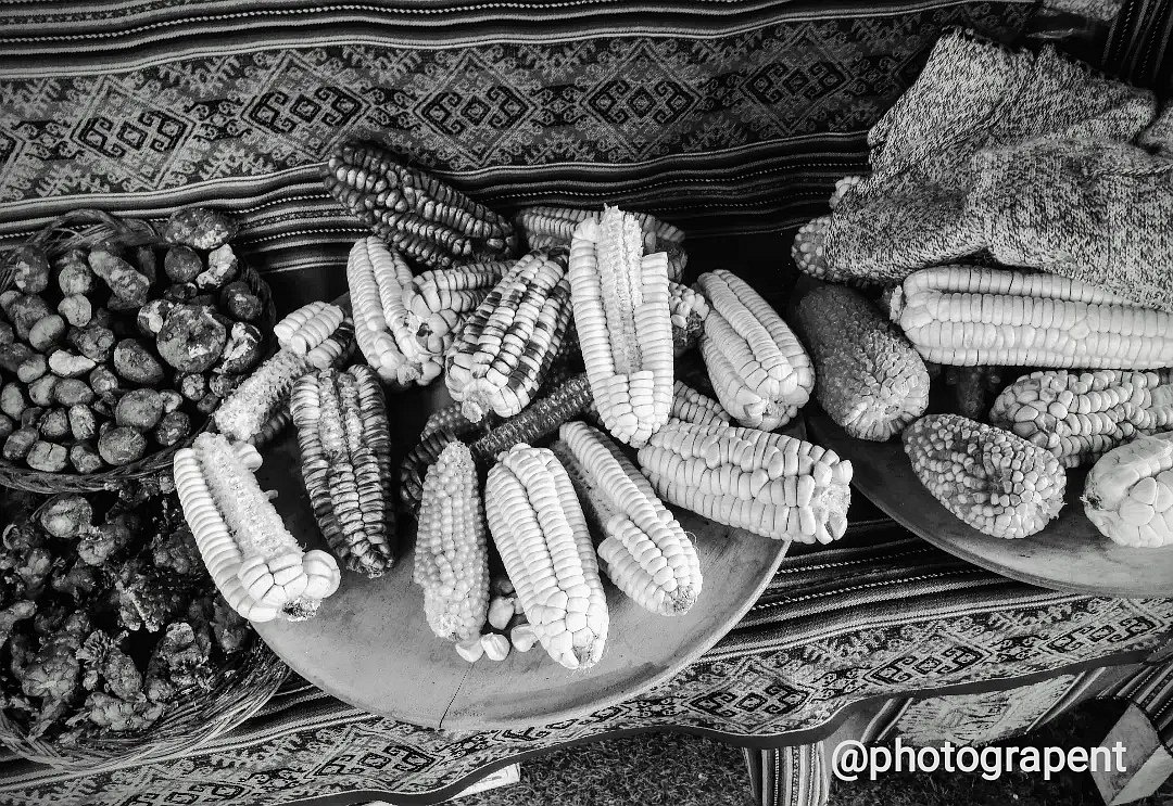 photograpent's tweet photo. Some varieties of potato and corn.
Cusco, Peru 2020
#blackandwhitephotography #blackandwhitephoto #photography #nftphotography #NFTCommunity #nftphotographer #Peru https://t.co/zqf6BPvobL
