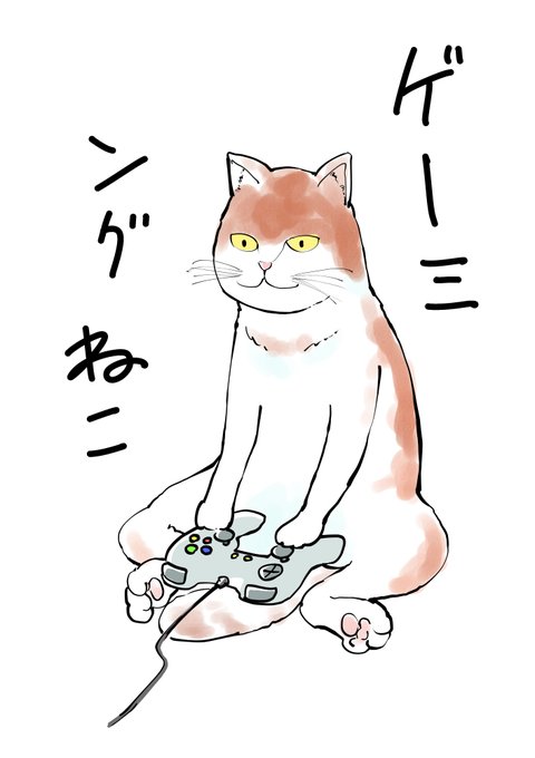 ねこの日 んこの日 