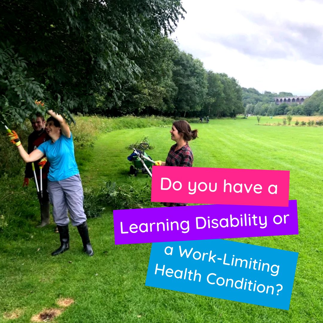 InnovateTrust's tweet photo. Interested in #Volunteering, #FurtherLearning or #Employment? Get in touch with our @StepOnProject1 to find out more! https://t.co/Qh4f4dk9AH