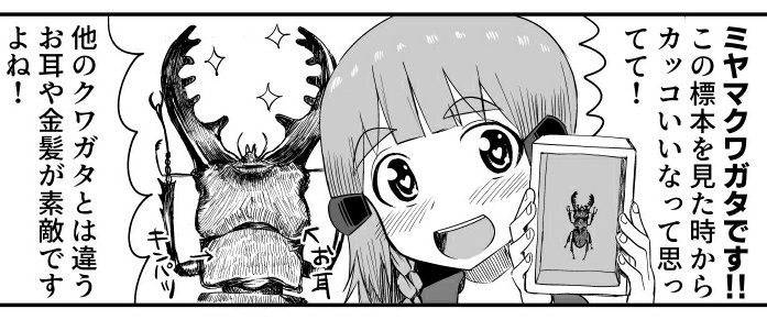 #ねこの日  #スーパー猫の日
クワガタ界のネコ耳・ミヤマクワガタ
本日にピッタリな甲虫ですね
漫画でも主役をはってます  RT 