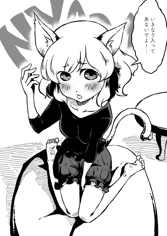 酉京都キャッツウォーク2(2/7) 