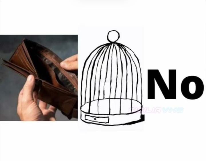 risolvi il rebus