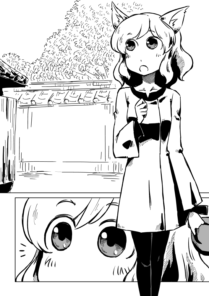 酉京都キャッツウォーク2(5/7) 