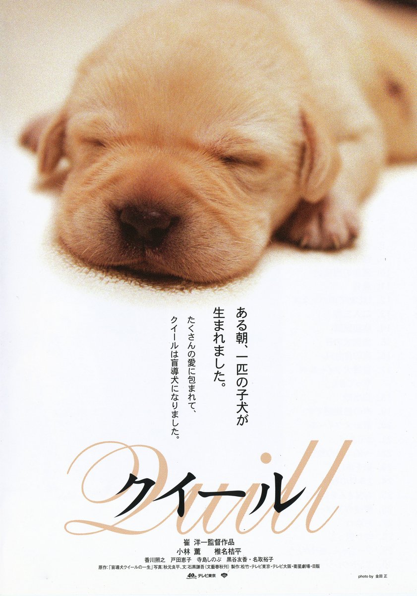 市場 中古 松本清張傑作選 危険な斜面 紐 第二弾dvd Box 名取裕子 1996年