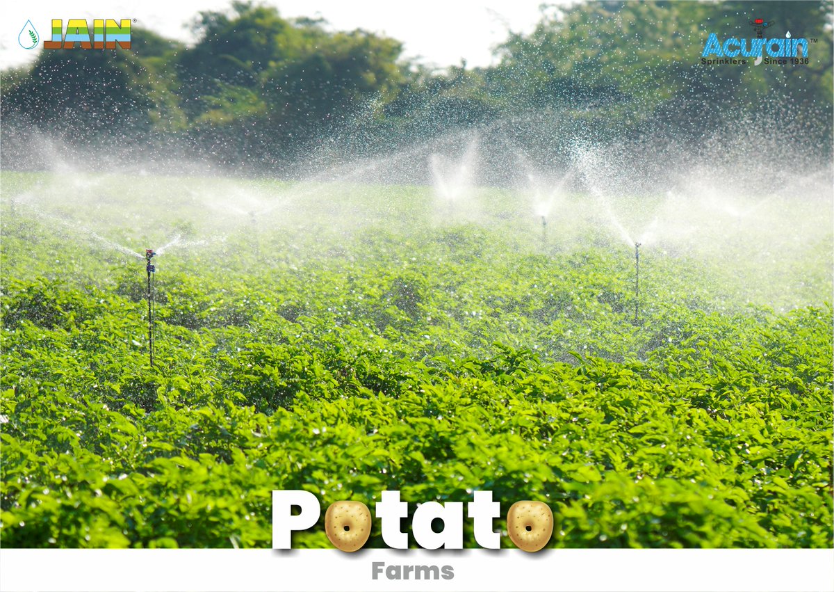 JainIrrigation's tweet photo. Sprinkle your farms with the splash and tenderness of #JainSprinklers achieving immense prosperity with every drop!💧🥔
Farmers all time choice from decades - The ultimate range of #AcuRain sprinklers by #jainirrigation 💦

#MoreCropPerDrop #SprinkleIrrigation #AgTech #JISL https://t.co/RdVltroOTm
