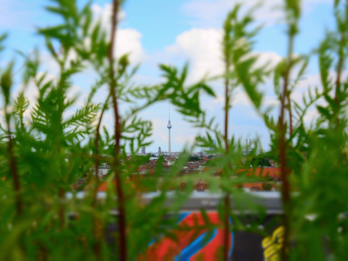 Die #snb stellt in Berlins „Grüne Lernorte' außerschulische Einrichtungen vor, die im Bereich Natur- & Umweltbildung arbeiten. Konkret werden hier Touren durch die #Stadtnatur, Tierbeobachtungen, Pflanzenbestimmungen u.v.m. angeboten.

ℹ️ Weitere Infos: stiftung-naturschutz.de/gruene-lernort…