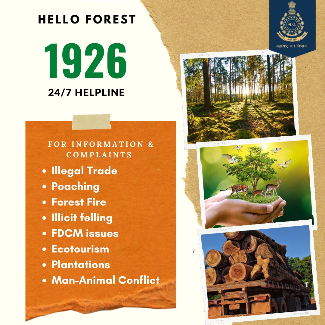 PuneForest's tweet photo. Maharashtra Forest Department brings in a 24x7 toll free number (1926) where you can lodge complaints and seek information related to forest.
#SaveForests #SaveTrees #PuneForest #ForestHelpline https://t.co/vXpjBYPwbu