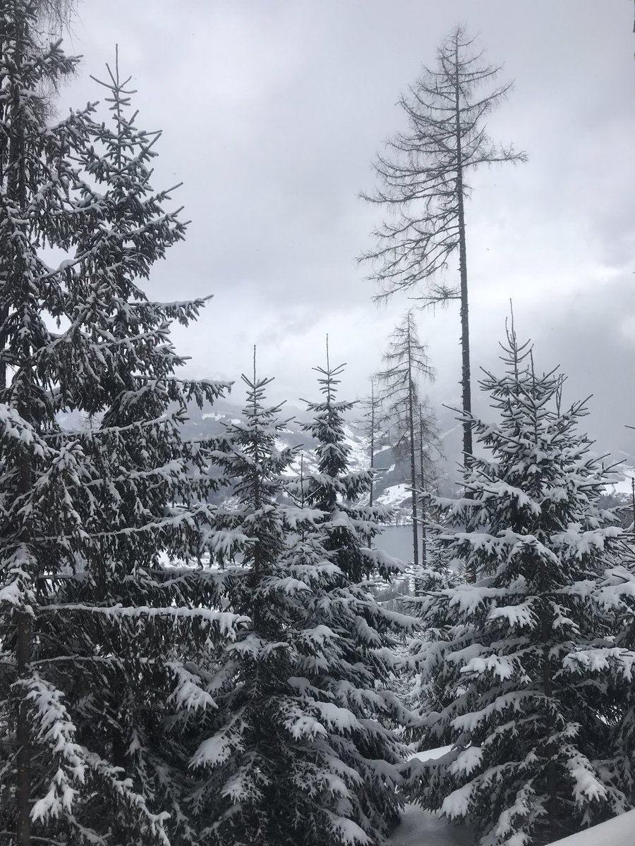 BarbsMcCarthy's tweet photo. Views #dieAlpen #skiing #SkiTuesday https://t.co/WjkNIvKQ6F