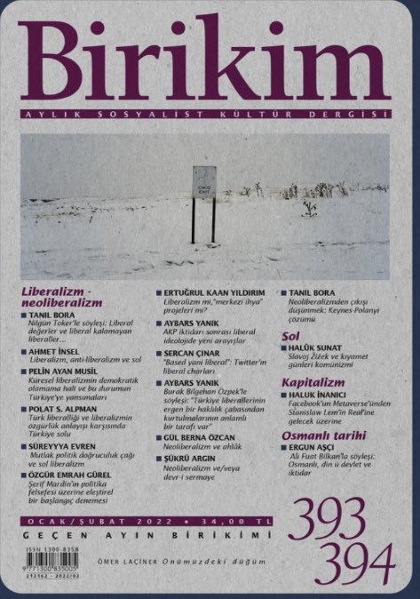 Birikim, Ocak-Şubat 2022