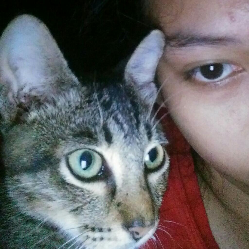 berlinxtabla's tweet photo. I'll miss you sleeping with me. ily. see u in another life. ❤ https://t.co/cUSDC7OmIq