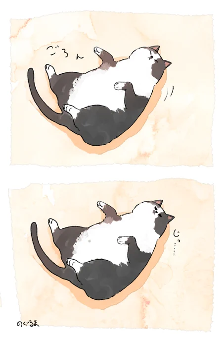 #猫の日 #にゃんにゃんにゃんの日 #スーパーねこの日 
#イラスト #illustration 