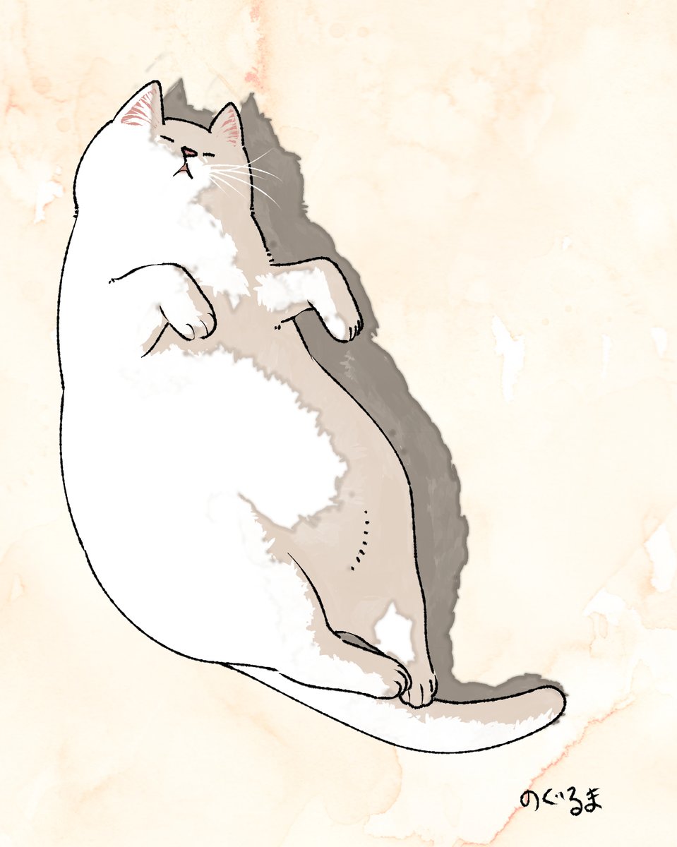 #猫の日 #にゃんにゃんにゃんの日 #スーパーねこの日 
#イラスト #illustration 