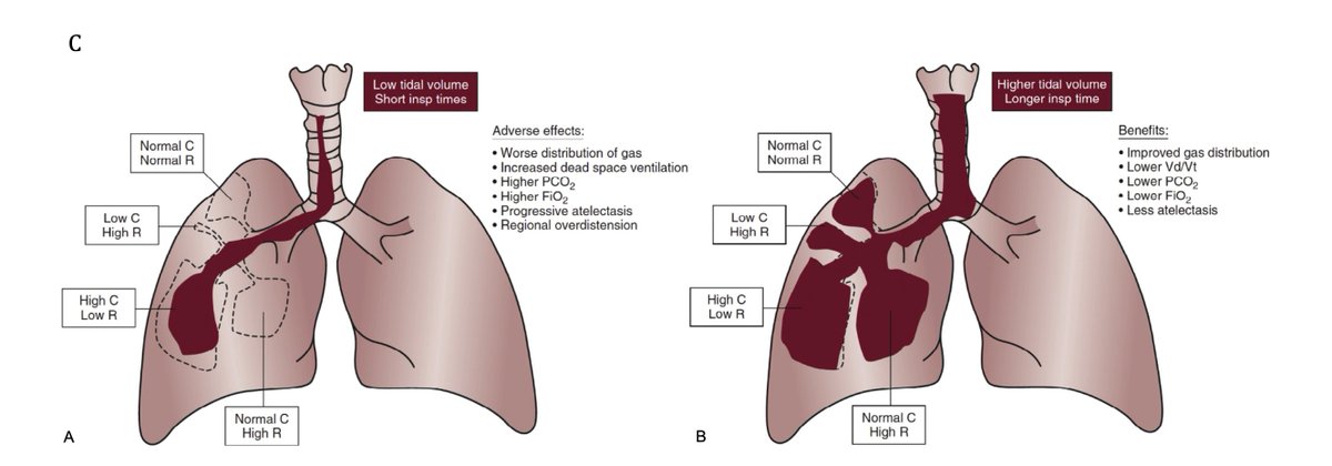 The BPD Collaborative tweet media