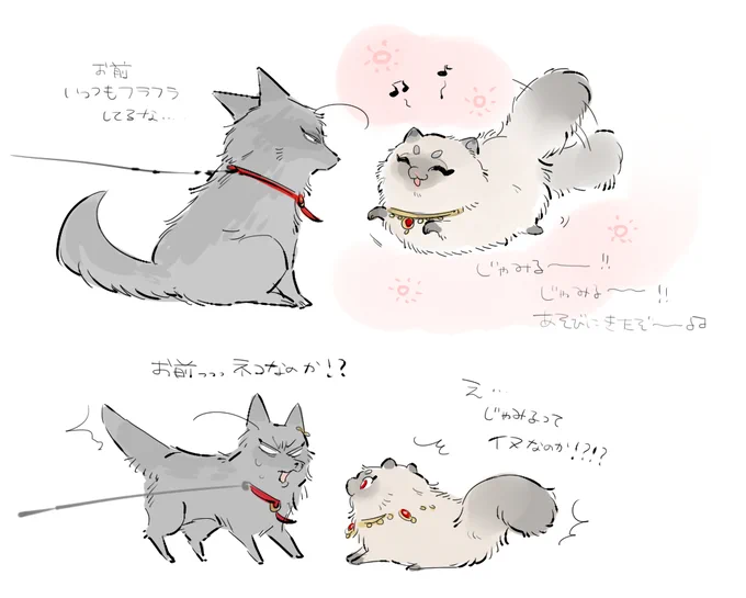 気まぐれ🐶と人懐っこい🐱 