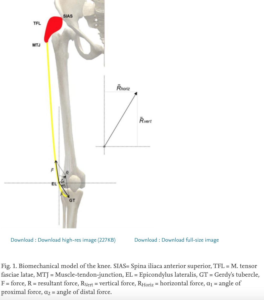 USAF_PT's tweet photo. Hot off the press: "Conservative treatment of IT band syndrome in runners: Are we targeting the right goals?"

https://t.co/XVLphrDKNM

#MSKinjury #PTrocks #ITBsyndrome #ITBand #runners https://t.co/d1V2Pjf4OX