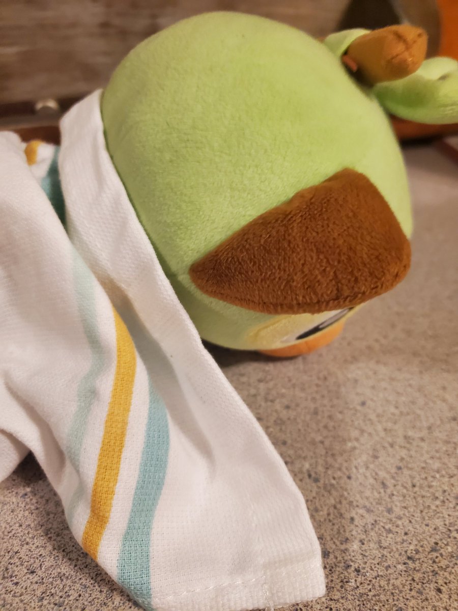 PGrookey's tweet photo. it's going to be a long day.
worth it.....very worth it.
#grookeyistired #concertaftermath https://t.co/1L5S4WCpco