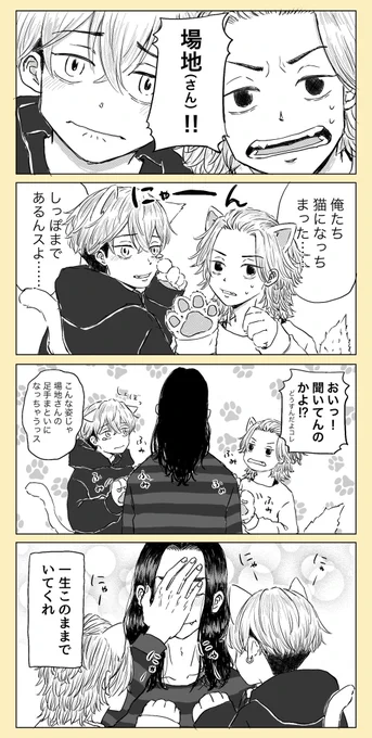 この後ちゃんと戻りました🐱 