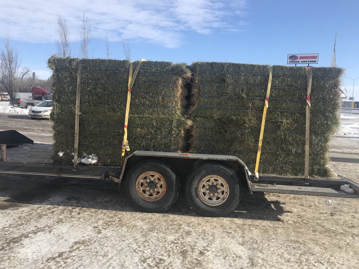 MartySeymour1's tweet photo. Pssst…Hay you!   It’s #CdnAgDay.   #dadjokes https://t.co/u2Ayjo2VCP