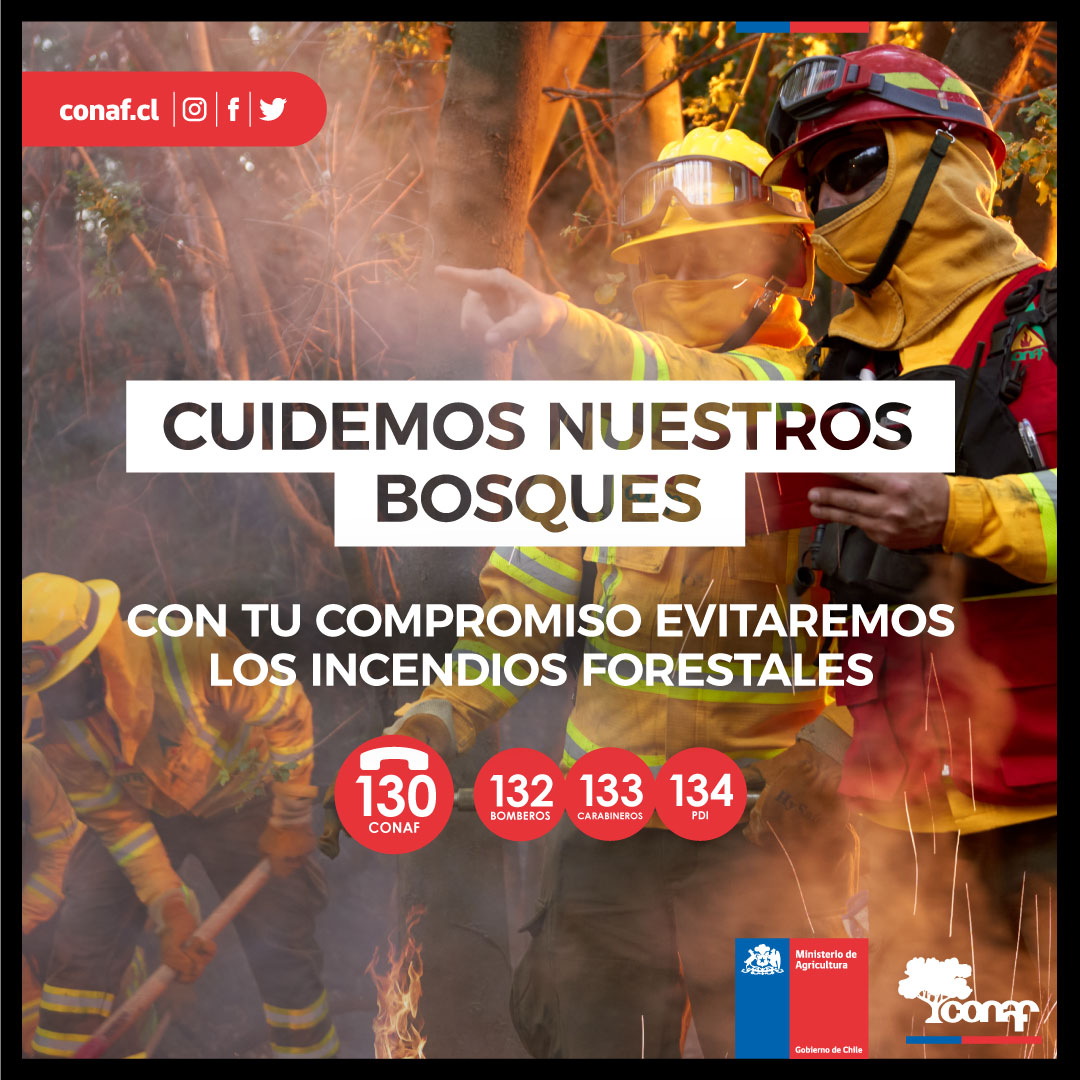 conaf_minagri's tweet photo. ⛈️ ¡Las tormentas eléctricas también pueden generar #incendiosforestales, causados por caídas de rayos
☎️ Ante un incendio forestal SIEMPRE debe comunicarse con los teléfonos 130 #CONAF, 132 #Bomberos, 133 #Carabineros o 134 #PDI.

Alertas @meteochile_dmc: https://t.co/BoG2Rw9Qno https://t.co/Rvb0Gbn8Yk