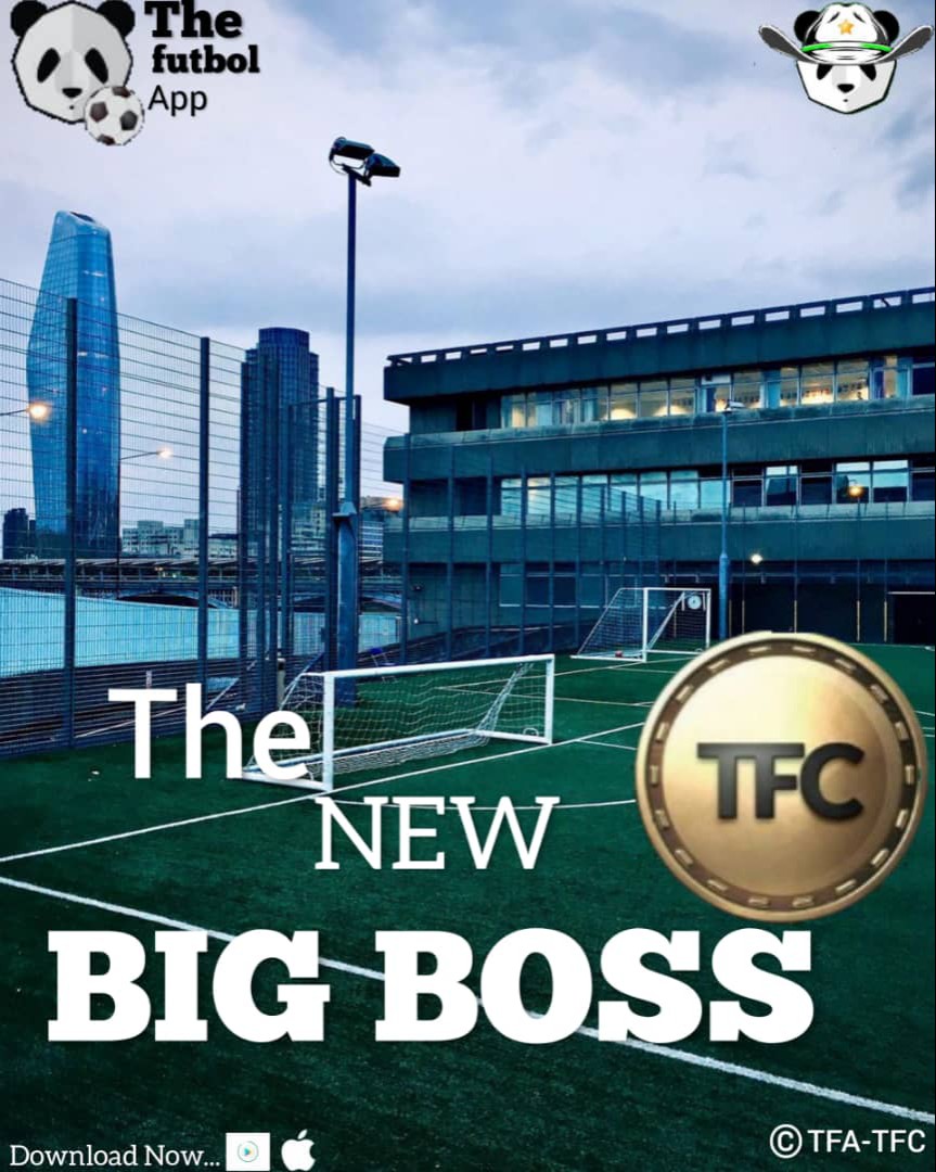 <a href="/davidgokhshtein/">David Gokhshtein</a> $TFC 😎