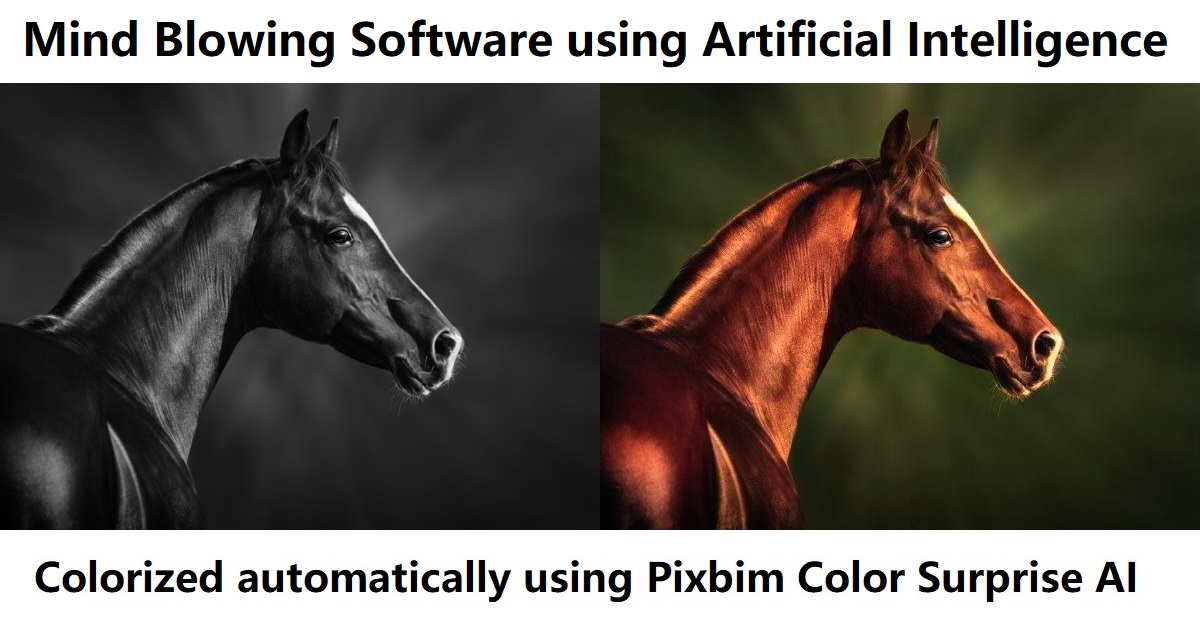 Ariawilson01's tweet photo. The New Pixbim Color Surprise AI v3.9.0 :
#pixbim #colorsurpriseAI 

1.  New "Reduce red tones" slider
2. Smart Brush tool supports all colors 
3. More range to the contrast and gamma sliders

Visit this link to download free trial of Color Surprise AI- https://t.co/RoRgbg4vvC https://t.co/NA0y9raiul