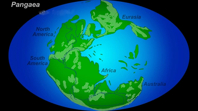 Планета земля 1000000 лет назад. Планета земля 600 млн лет назад. Пангея древние континенты. Планета земля 200 млн лет назад пангея. Планета земля пангея.