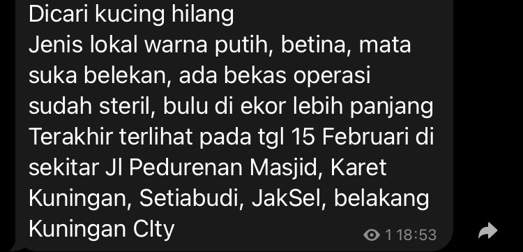 Adjdam's tweet photo. Twitter do your magic
Help
Dicari kucing hilang
Bagi yg melihat atau memiliki info dapat menghubungi akun ini https://t.co/4BAF6KhUqm