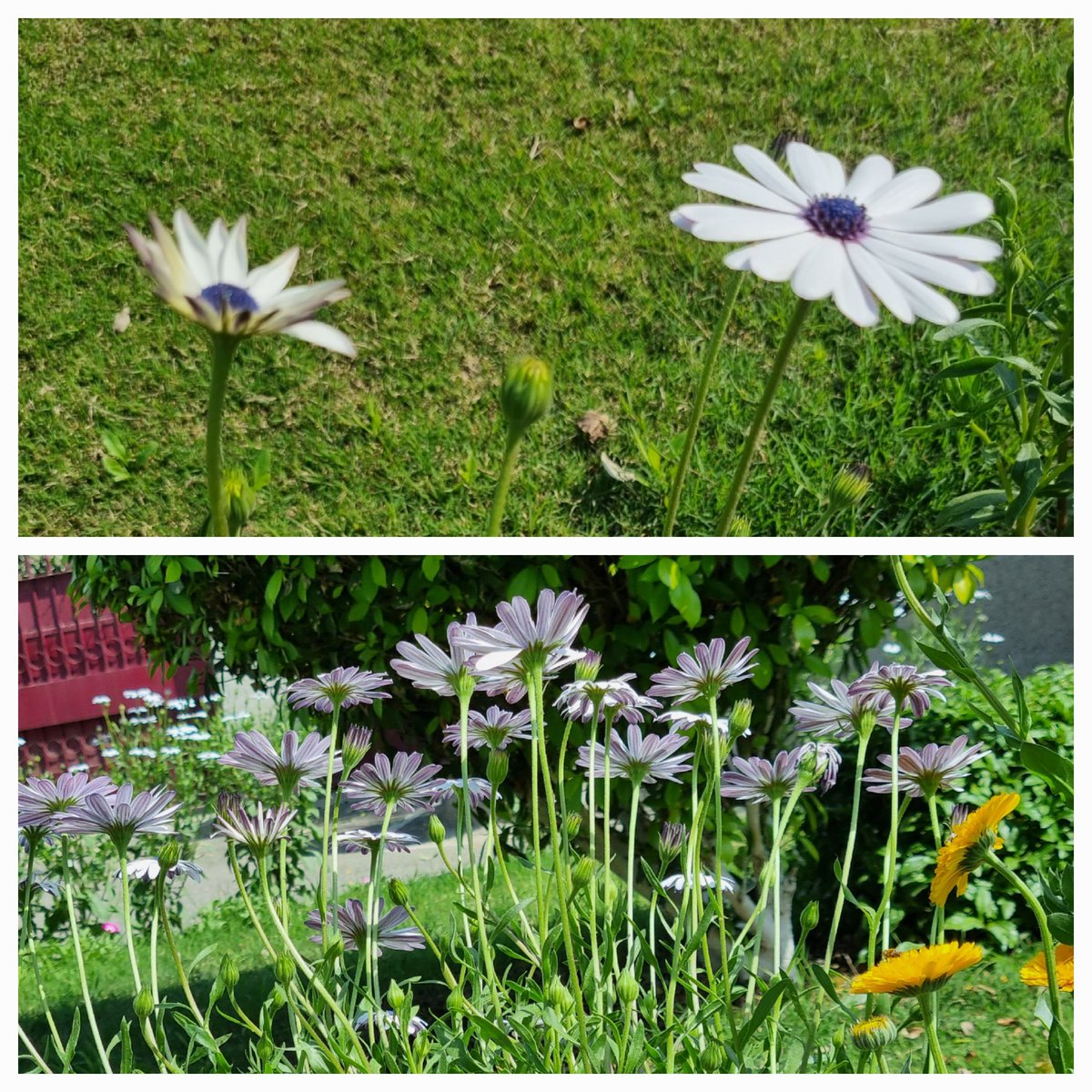 ParveenPT1's tweet photo. #differentperspective 
#perfectcreation https://t.co/mnP3yRUjOc