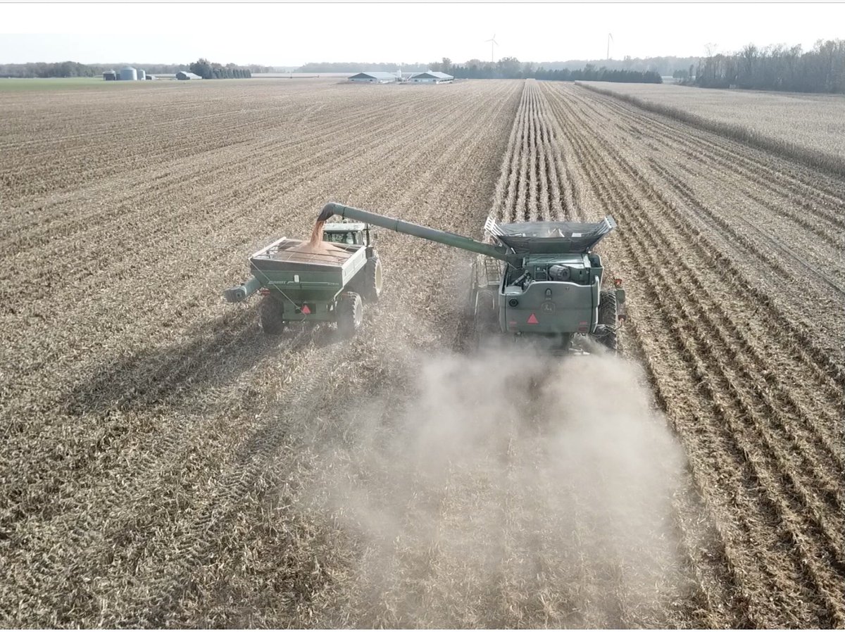 jim saul 🇨🇦🌽🐓 tweet media