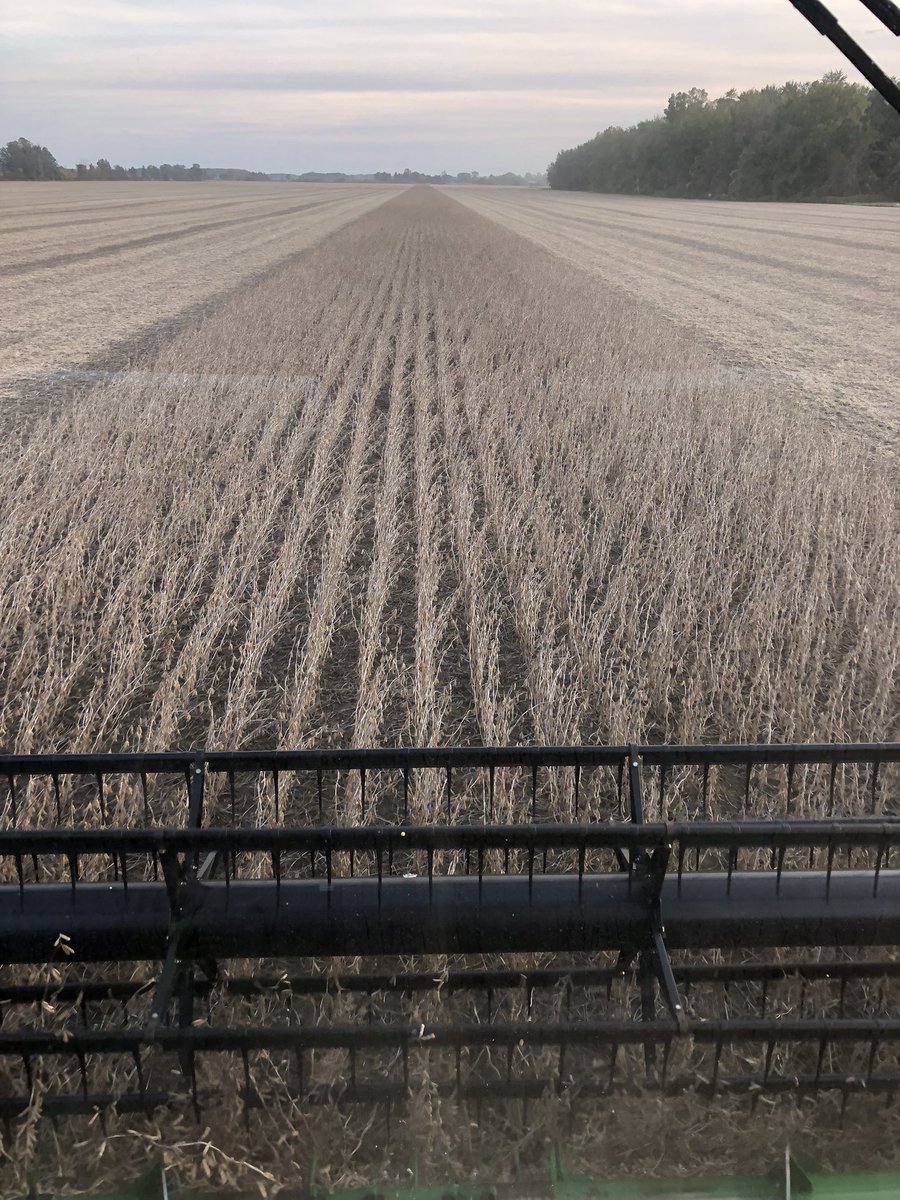 jim saul 🇨🇦🌽🐓 tweet media