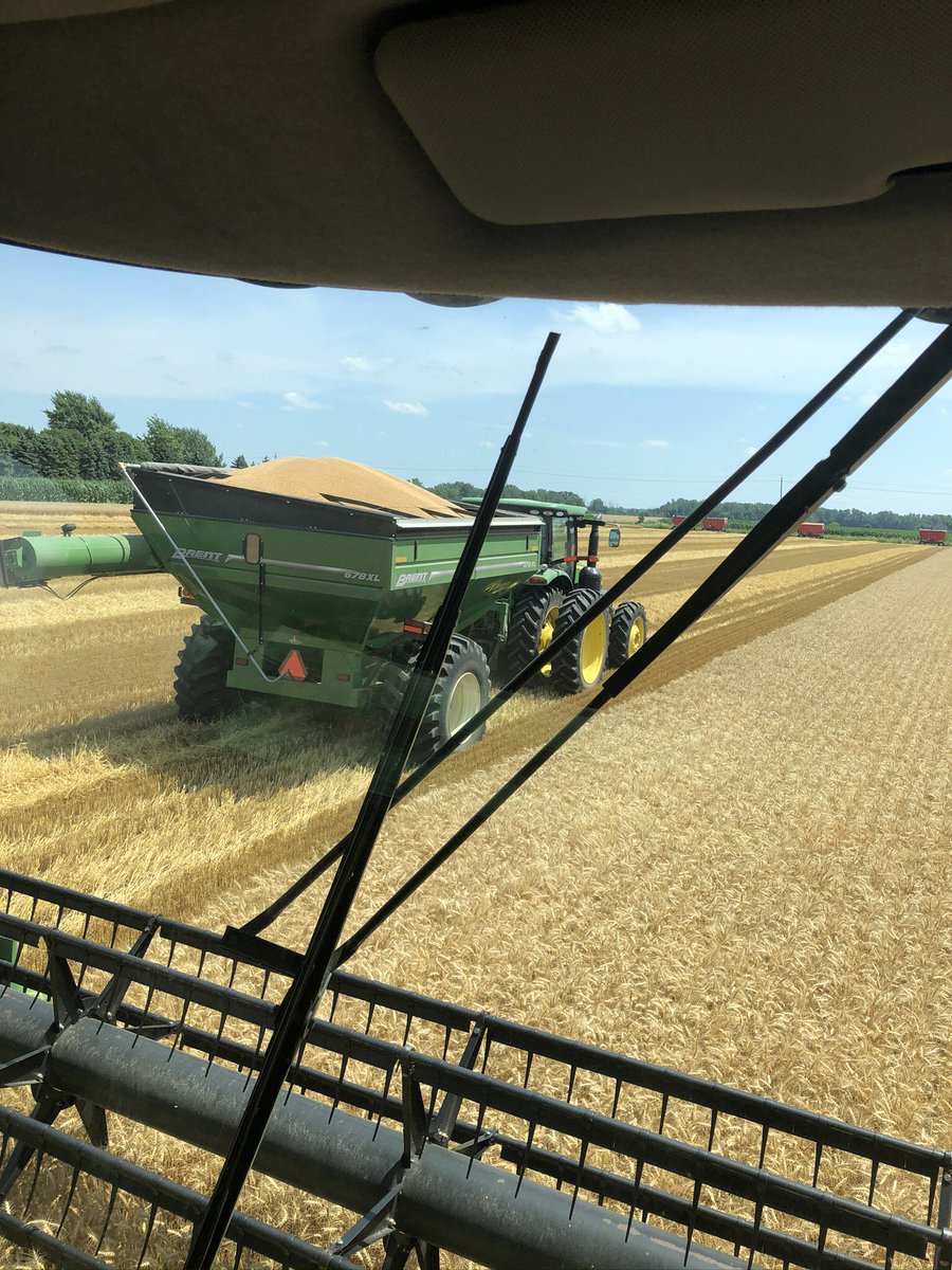 jim saul 🇨🇦🌽🐓 tweet media