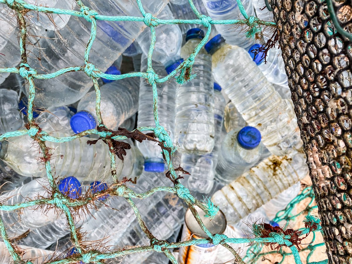 perrinesvy's tweet photo. Quand la balade matinale se transforme en nettoyage de plage… des centaines de bouteilles Avant 🇬🇧 sont sur les plages du Cotentin ! J’ai pu en ramasser quelques dizaines mais la quantité reste importante. Si vous passez par la. 🙌🏻 https://t.co/5LFIcCjGHk