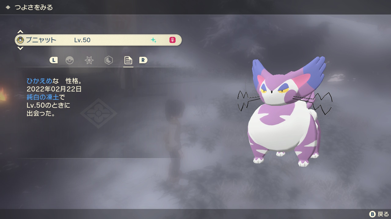 ぬとけ 猫の日に偶然色違いブニャットちゃんと出会った記念 Pokemonlegends T Co Il5dho0wif Twitter
