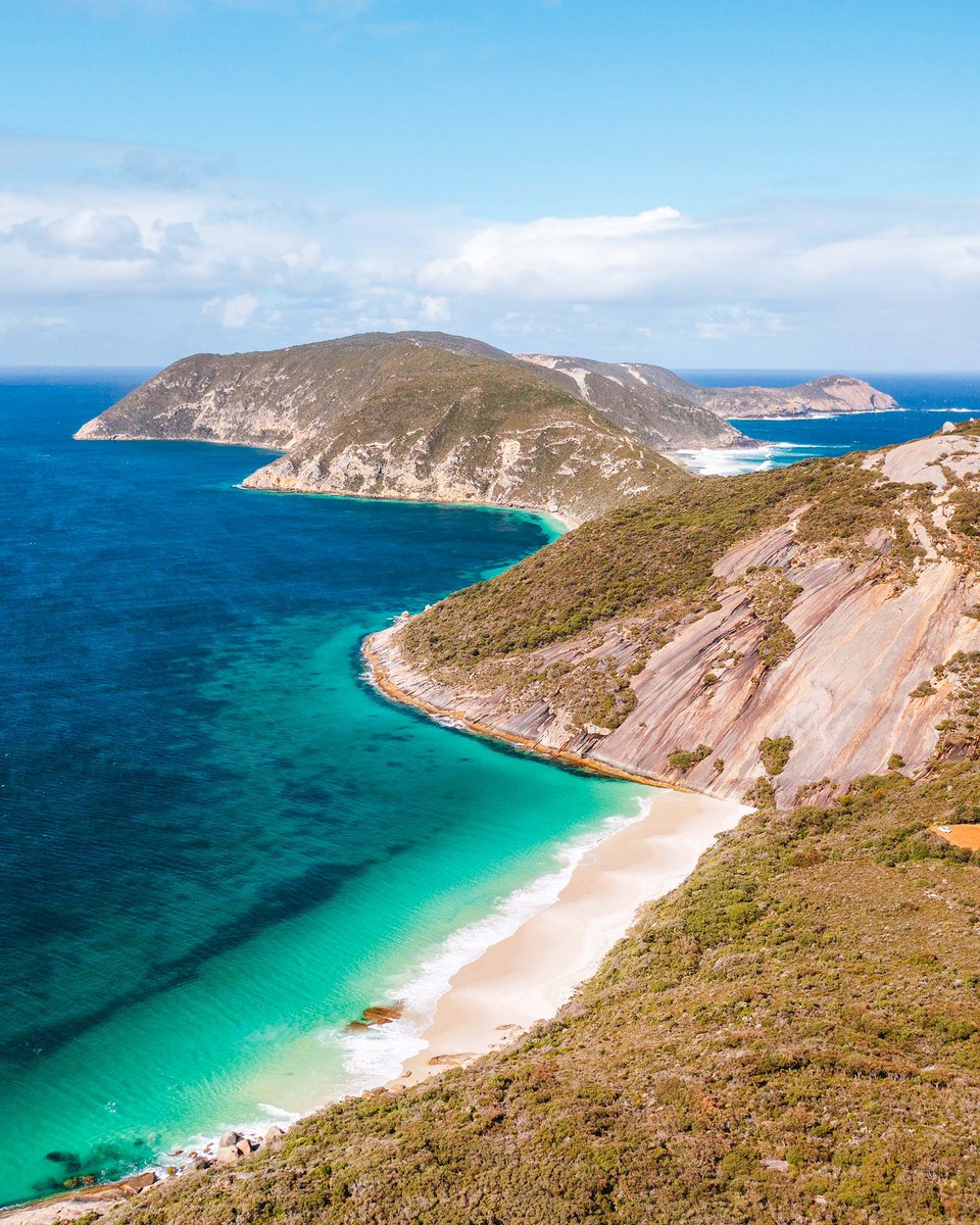 Dylan Alcock tweet media