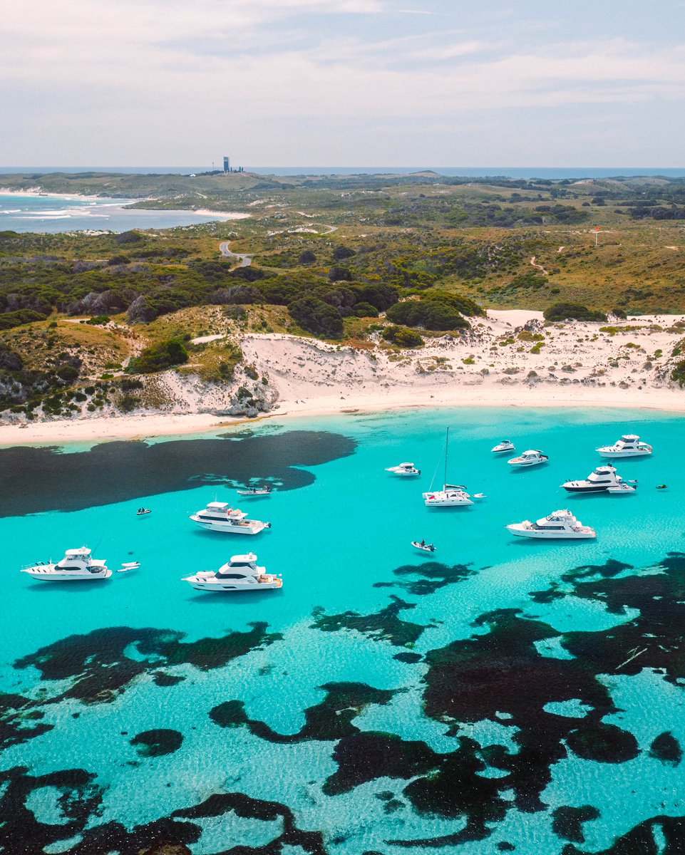 Dylan Alcock tweet media