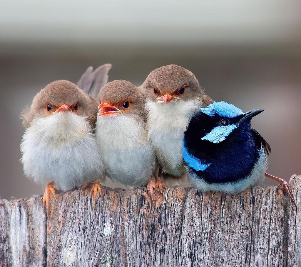 I hope every one have a happy day 
Everything will be fine