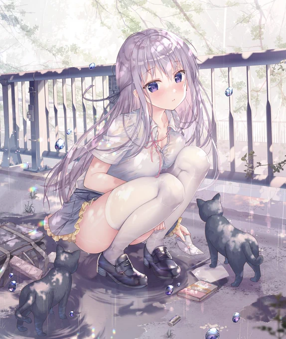 飛鳥と猫

#猫の日 