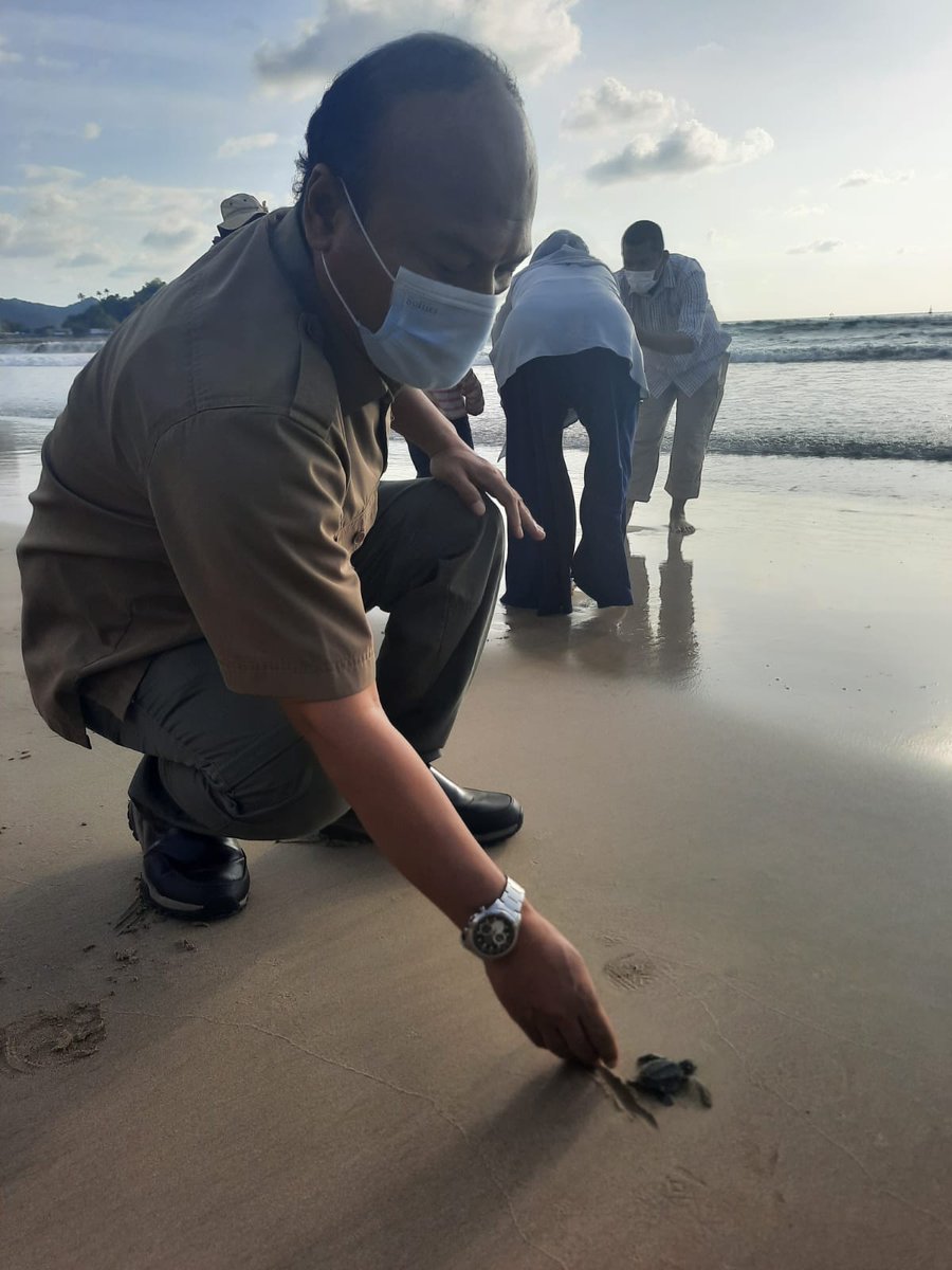 Bpdashlka's tweet photo. Aksi Bersih Pantai dan Pelepasan Tukik dalam Rangka Hari Peduli Sampah Nasional
"Membersihkan sampah, melindungi bumi, melestarikan penyu"
21.02.2022 di Pantai Pasie Jalang, Lhoknga, Aceh Besar
#kehutanan https://t.co/vXXEvrDIpj