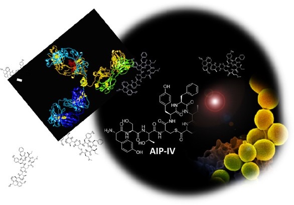 CSIC_VAACT's tweet photo. Científicas de @Nanomed_CSIC  y @IQAC_CSIC publican "Direct Quantitative #Immunochemical Analysis of Autoinducer Peptide IV for Diagnosing and Stratifying #Staphylococcus aureus Infections"
👉https://t.co/sWPuSSeFEd
#diagnóstico #inmunoquímica #ConexionesCSIC #CSIChubs https://t.co/O3EffB1X3U