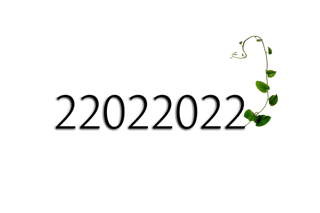 What day is it today? Palindrome day! 😁