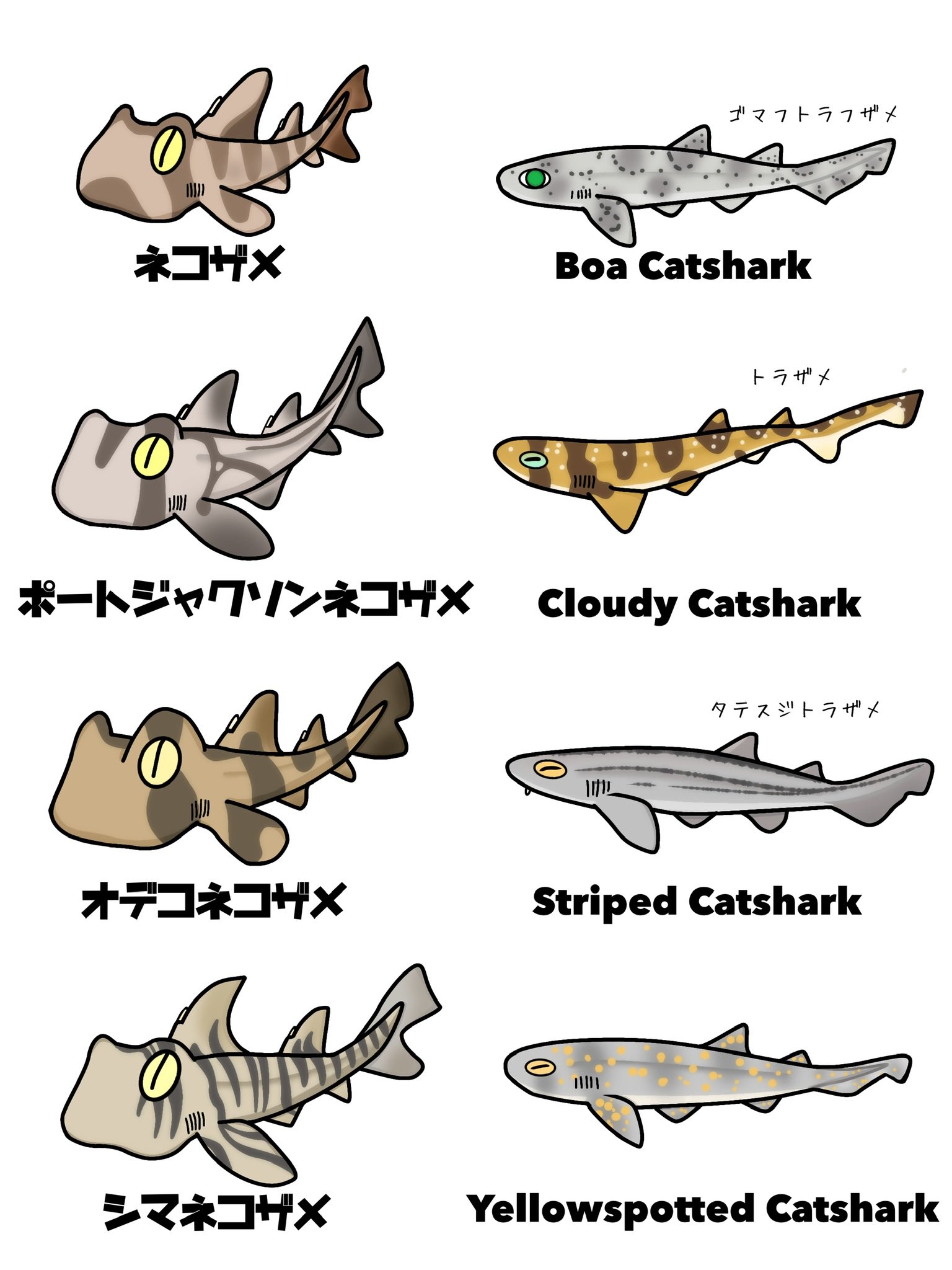 Twitter 上的 けいこっとん ねのねこチビザメーズ 今日は猫の日ということで ネコザメand Catshark トラザメ を描きました サメ イラスト Shark Illustration 絵描きさんと繋がりたい 猫の日 T Co 4tknkqhs Twitter Twitter 上的 けいこっとん ねのねこチビザメーズ 今日は猫の日ということで ネコザメand Catshark トラザメ を描きました サメ イラスト Shark Illustration 絵描きさんと繋がりたい 猫の日 T Co 4tknkqhs Twitter